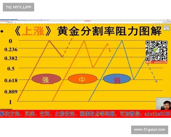 粤11选五投注技巧全解析,助你精准预测与稳健选号策略分享 粤11选五投注技巧全解析,助你精准预测与稳健选号策略分享